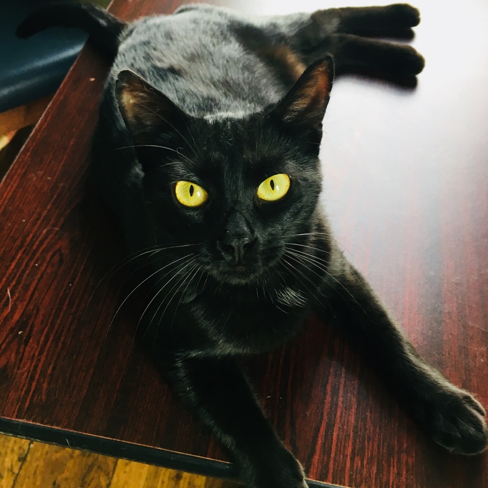 Meet your Posher, Kimberly